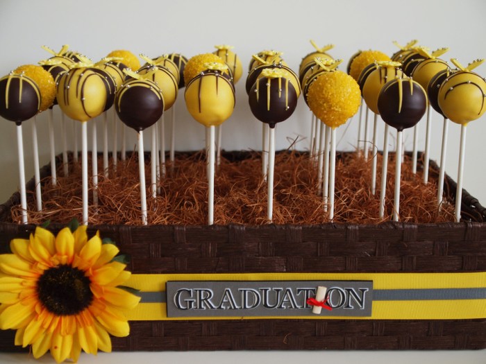 Cake graduation pops ideas pop cakecentral dessert sunflower grad saved yellow party