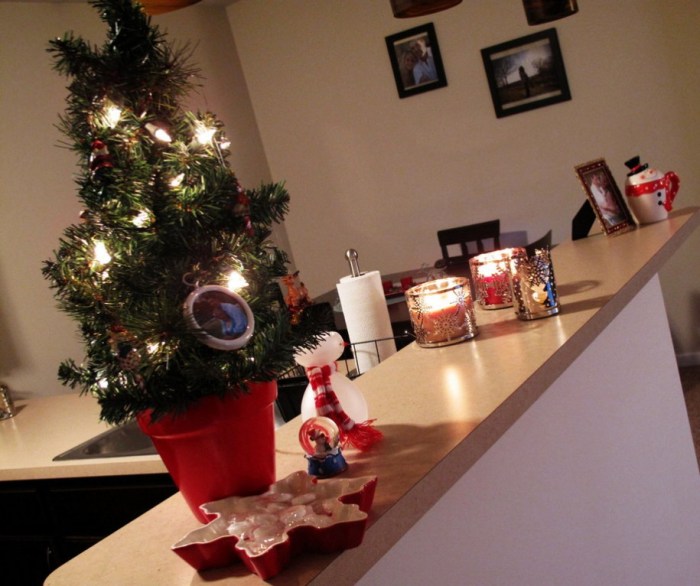 How to decorate a college apartment for christmas