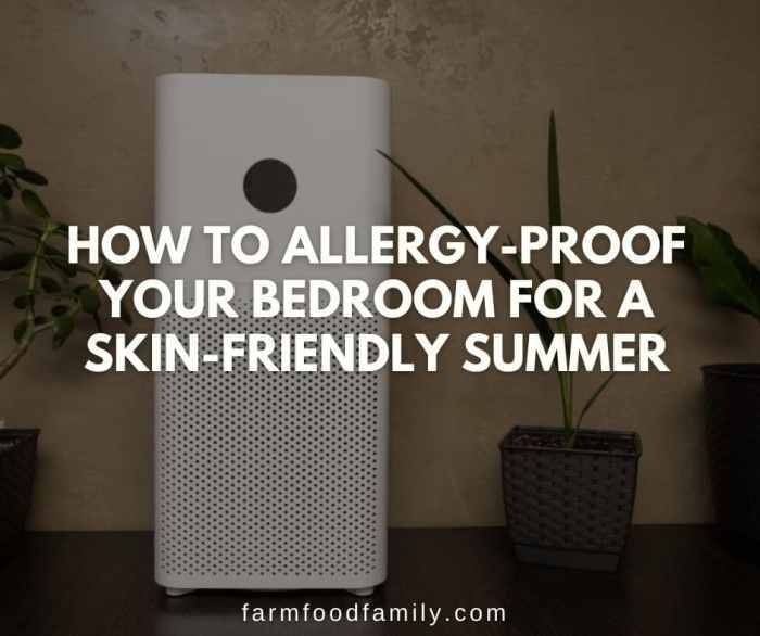 How decorate a bedroom allergy free