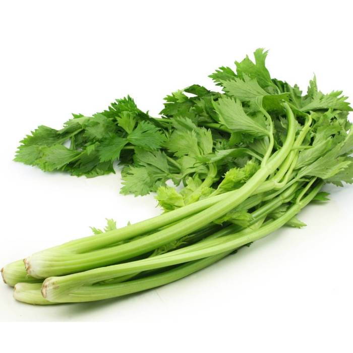 Celery chinese picture specialtyproduce